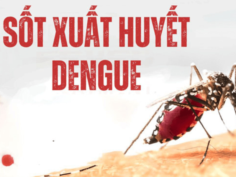 Sự nguy hiểm của bệnh sốt xuất huyết như thế nào?
