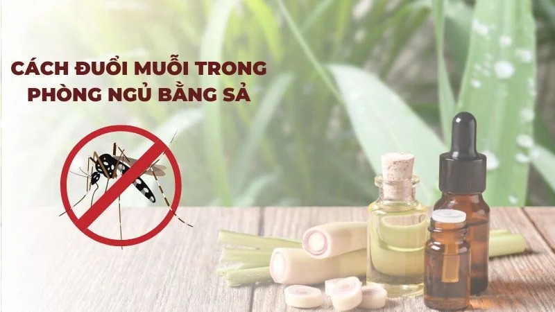 Đuổi muỗi bằng sả có thật sự hiệu quả?