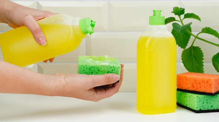 Cách đuổi muỗi bằng nước rửa chén chi tiết