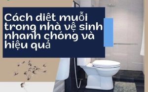 04 Cách Đuổi Muỗi Trong Nhà Vệ Sinh An Toàn, Hiệu Quả