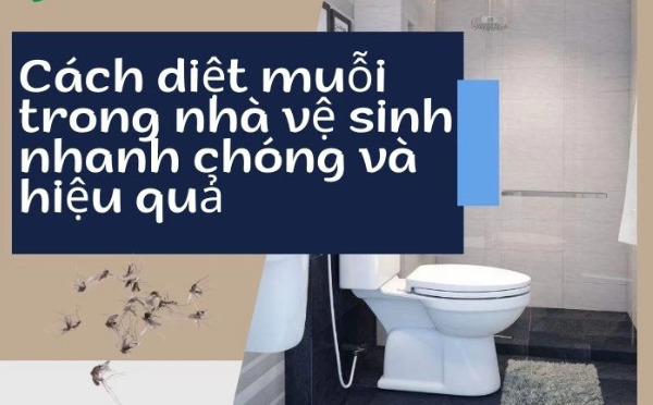 04 Cách Đuổi Muỗi Trong Nhà Vệ Sinh An Toàn, Hiệu Quả
