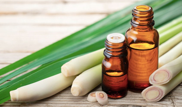 Sử dụng tinh dầu hoặc sả tươi là một cách đuổi muỗi tự nhiên hiệu quả và giúp không gian nhà vệ sinh luôn tươi mát
