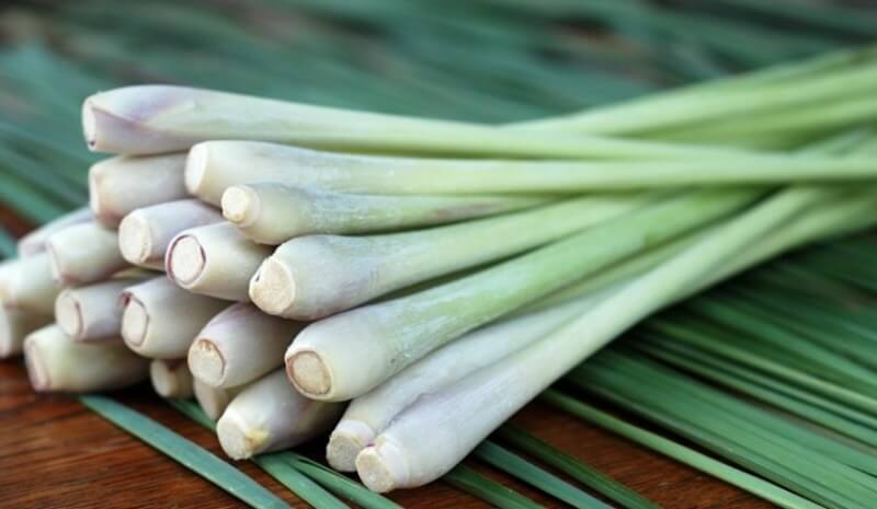 Cách đuổi muỗi bằng sả siêu đơn giản
