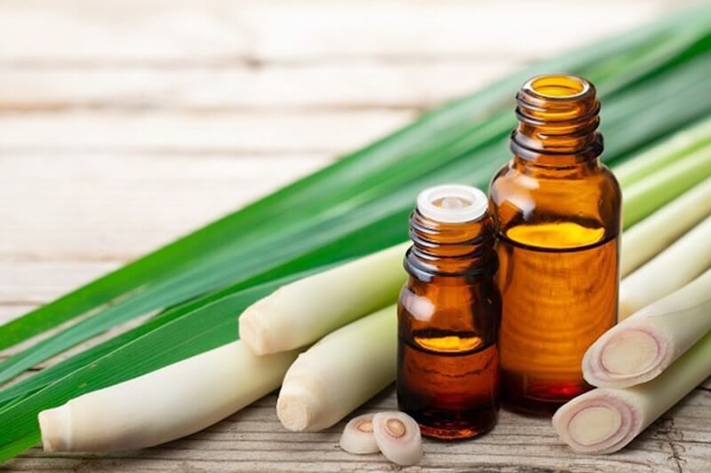 Dùng nước sả tươi để đuổi muỗi