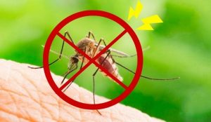 Việc chủ động “bịt kín” lối vào của muỗi luôn quan trọng hơn trông cậy vào may rủi ánh sáng – bóng tối