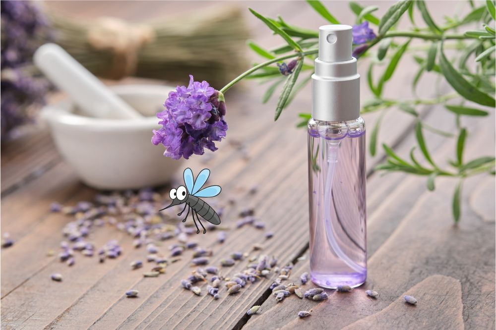 Công dụng đuổi muỗi của nước hoa