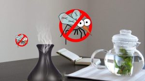 Dùng các tinh dầu để phòng chống kiến cánh