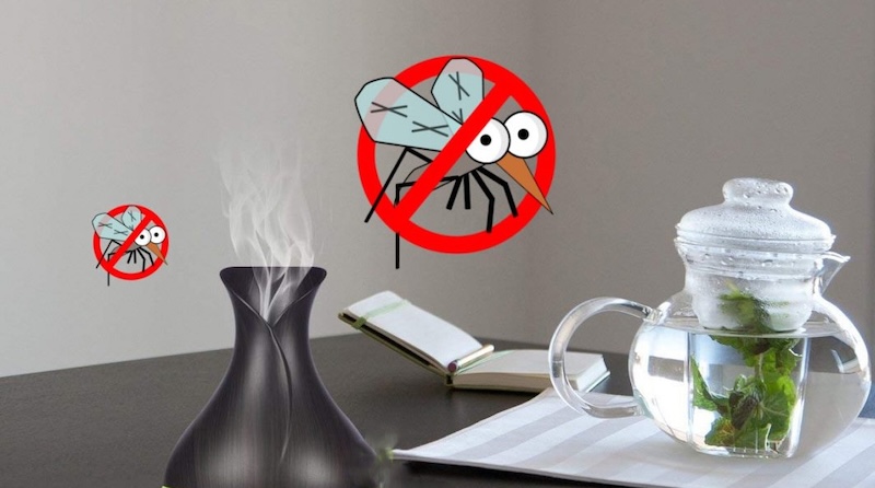 Dùng các tinh dầu để phòng chống kiến cánh
