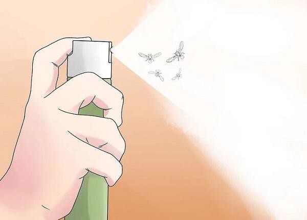 Dùng bình xịt côn trùng để diệt và phòng kiến cánh