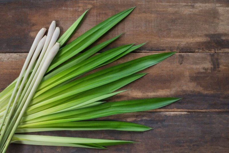 Dùng sả để đuổi ong