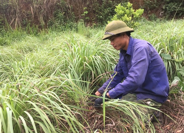 Các Loài Rắn Thường Gặp Trong Nhà Nguy Hiểm