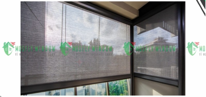 Cách phòng, đuổi ruồi xuất hiện trong nhà