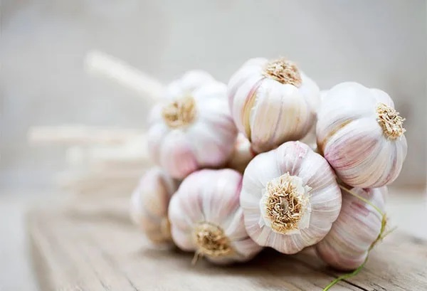 Dùng nước tỏi là một phương pháp tự nhiên khá hiệu quả để đuổi bọ xít ra khỏi nhà