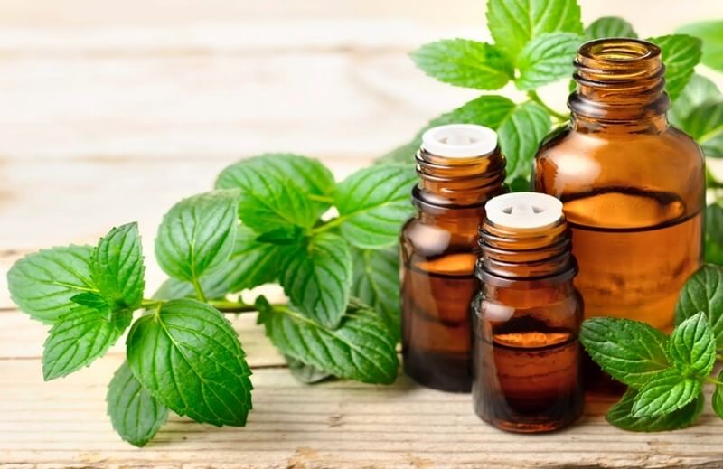 Cách phòng ruồi vào nhà trong mùa sinh sản của chúng là sử dụng tinh dầu tự nhiên