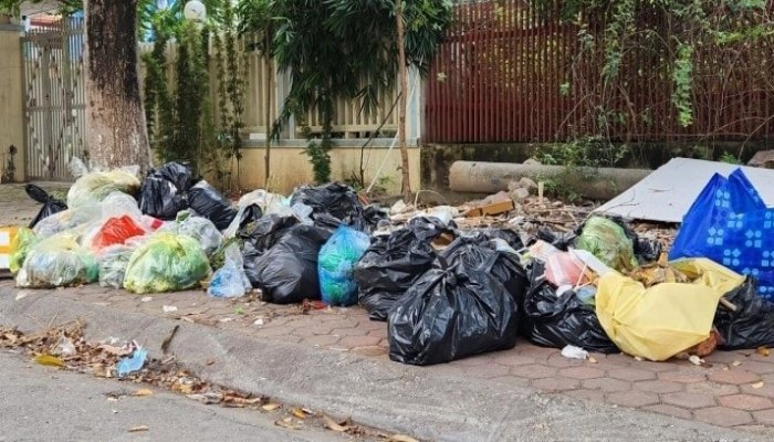 Rác thải sinh hoạt là thiên đường của ruồi
