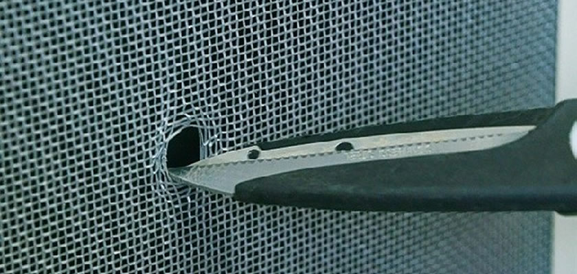 Lưới chống muỗi bị rách – Lỗ hổng nhỏ nhưng hậu quả lớn