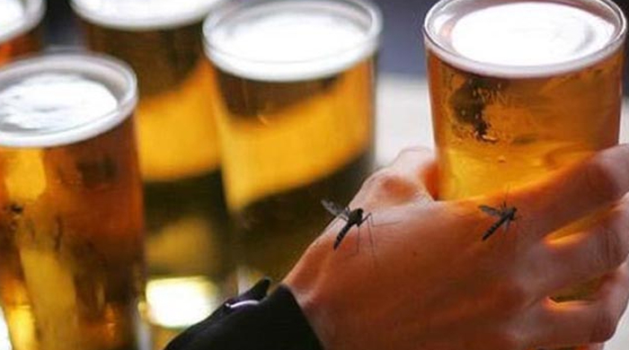 Nguyên nhân người uống bia rượu thu hút muỗi?
