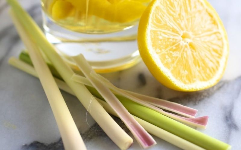 Tinh dầu chanh the mát có tác dụng đuổi rết