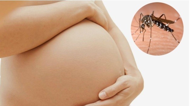 Hương muỗi ảnh hưởng đến phụ nữ mang thai như thế nào?