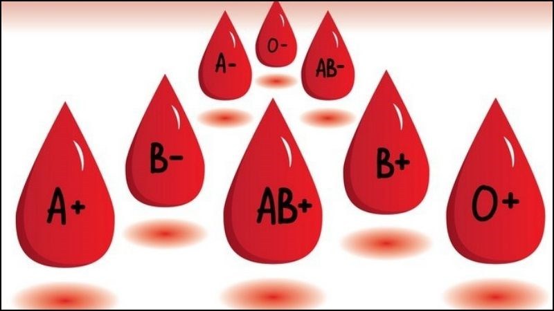 Nhóm máu O có nguy cơ bị muỗi đốt cao hơn các nhóm máu khác