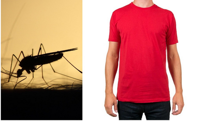 Màu sắc trang phục cũng có thể thu hút muỗi