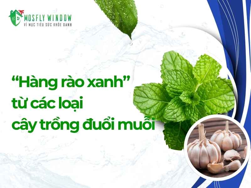 Giải pháp công nghệ để đuổi muỗi