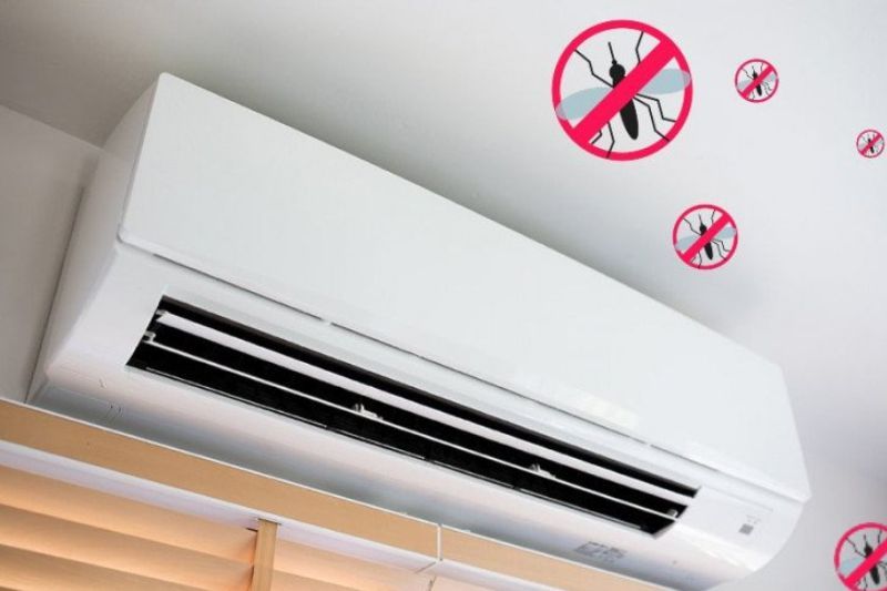 Vậy muỗi đã đi đâu khi trời lạnh?