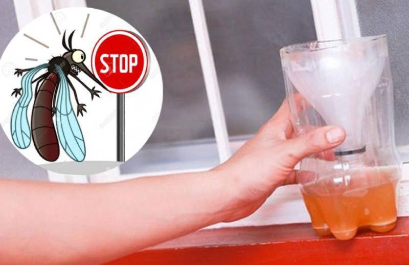 Cách đuổi muỗi bằng bia hiệu quả không ngờ