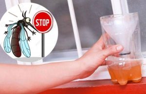 Cách đuổi muỗi bằng bia hiệu quả không ngờ