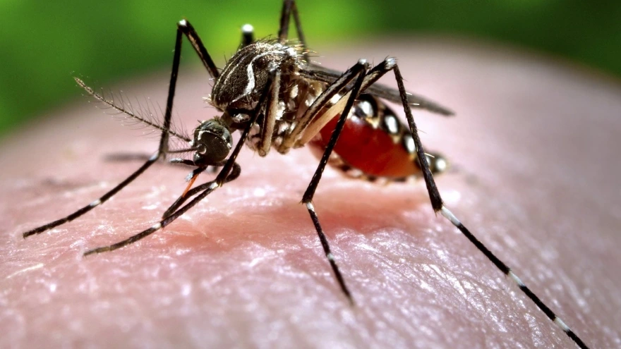 Những nguyên nhân khác khiến bạn dễ 'thu hút' muỗi