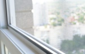 10+ Cách chống muỗi khi mở cửa sổ hiệu quả