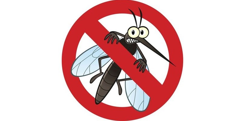 Làm sao để muỗi không vào nhà?