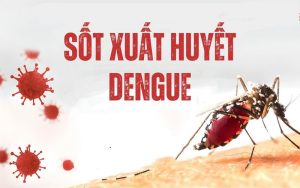 Sốt xuất huyết Dengue là gì?