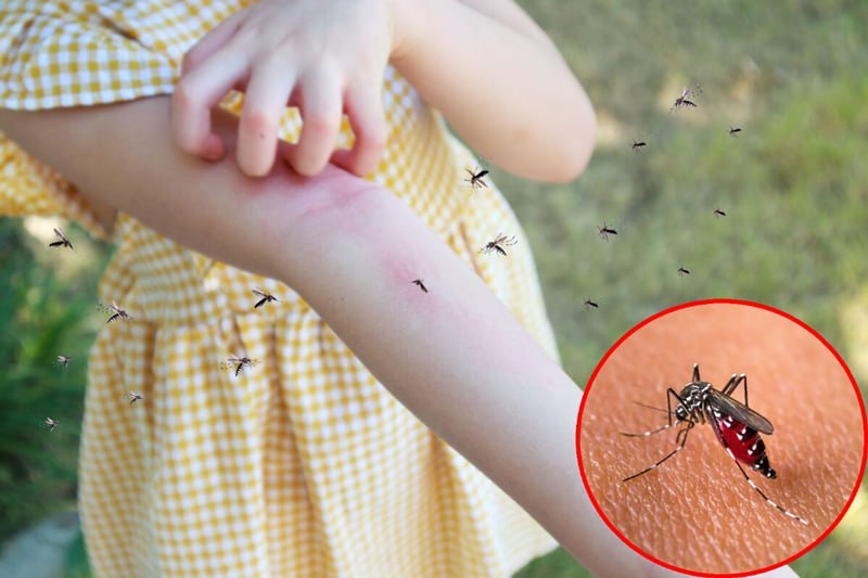 Sốt xuất huyết ngày thứ mấy là nguy hiểm nhất?