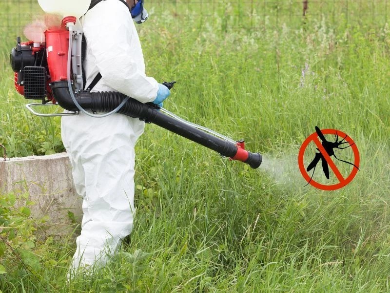 Hướng dẫn sử dụng thuốc diệt muỗi an toàn tuyệt đối tại nhà
