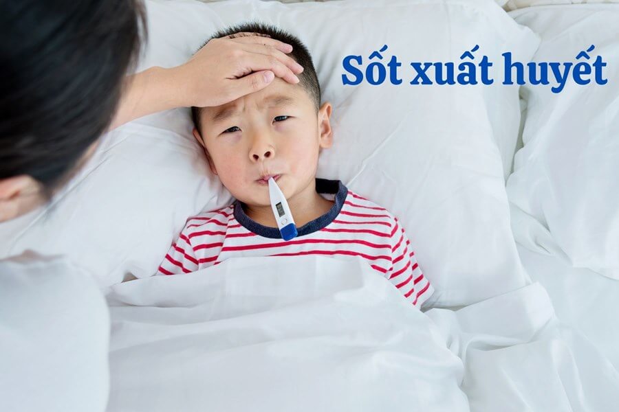 Các bệnh truyền nhiễm nguy hiểm do muỗi gây ra