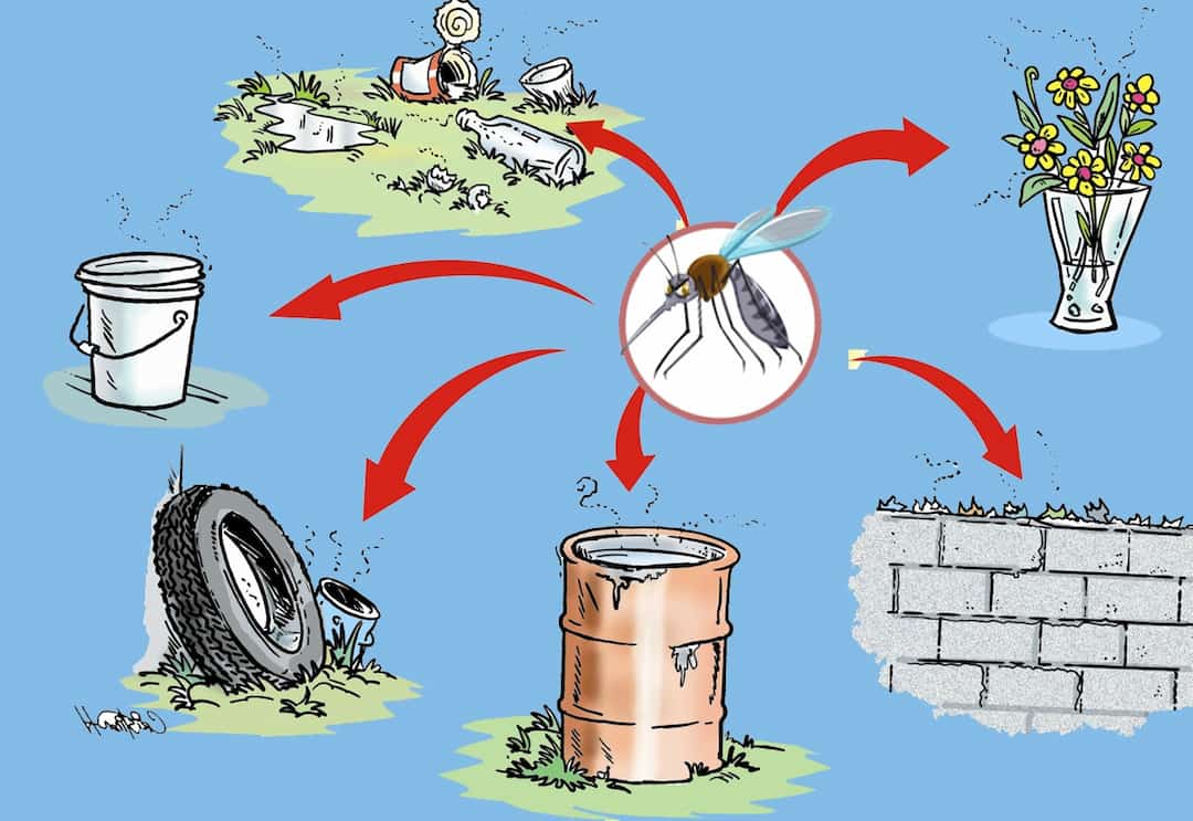 Thảm thực vật ven sông là nơi trú ẩn an toàn