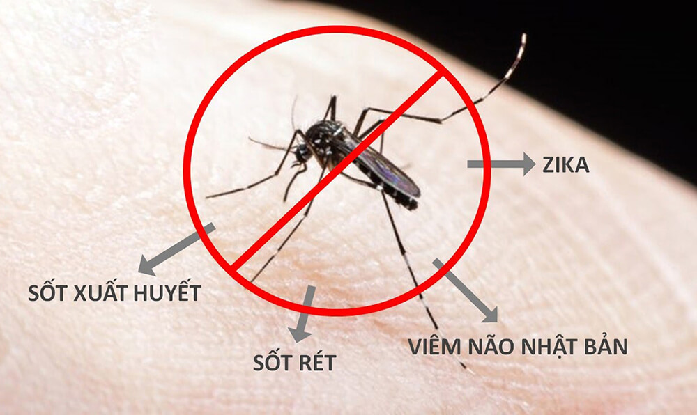 Nguy cơ mắc các bệnh truyền nhiễm nguy hiểm Sốt xuất huyết, Zika, Sốt rét