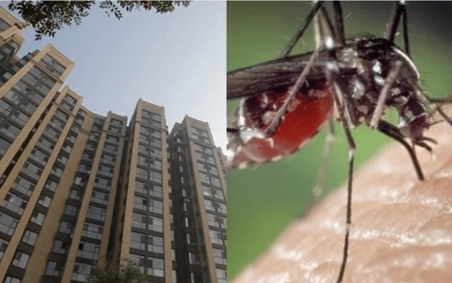 Ảnh hưởng từ môi trường bên ngoài khiến muỗi sinh sản nhanh chóng