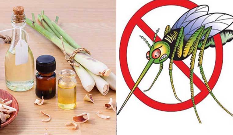 Lắp đặt cửa lưới chống muỗi