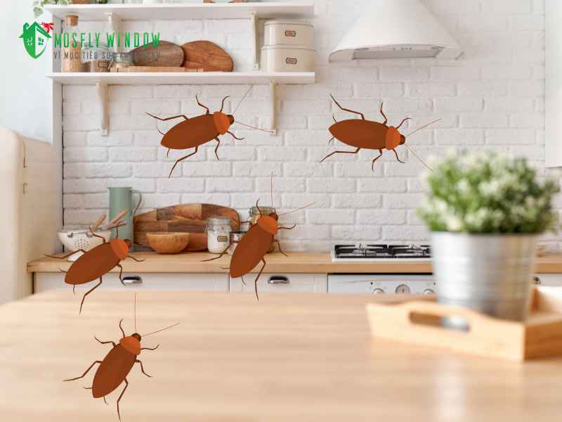 Vì sao nhà bếp lại là “thiên đường” của loài gián?