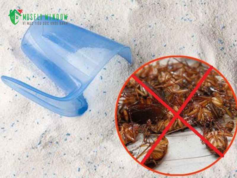 Các mẹo đuổi gián trong nhà tắm bằng phương pháp tự nhiên, an toàn