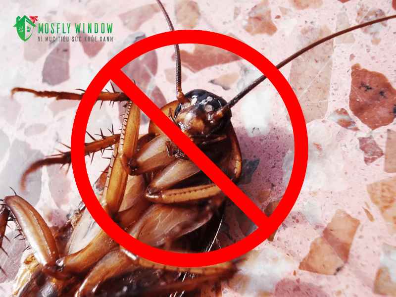 Xử lý các khu vực gián ẩn náu 'cứng đầu' nhất