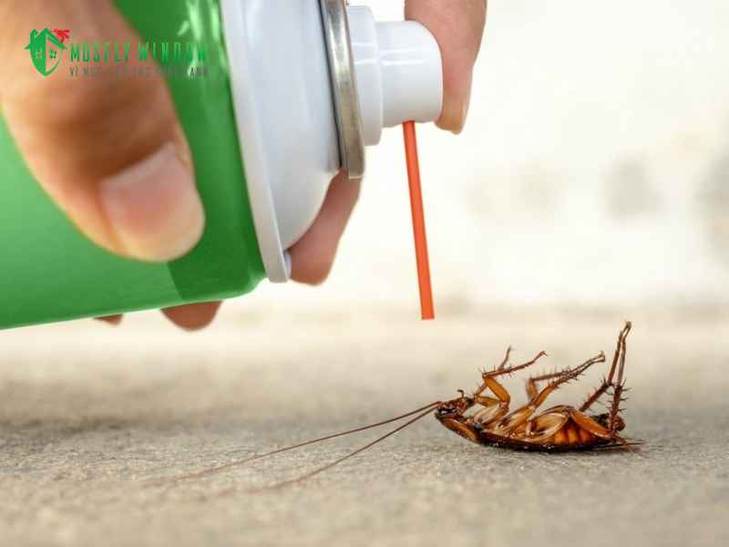Giải pháp hóa học để đuổi gián trong phòng ngủ