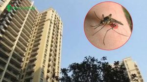 Giải đáp trực tiếp: Muỗi có thể bay cao tới tầng mấy?
