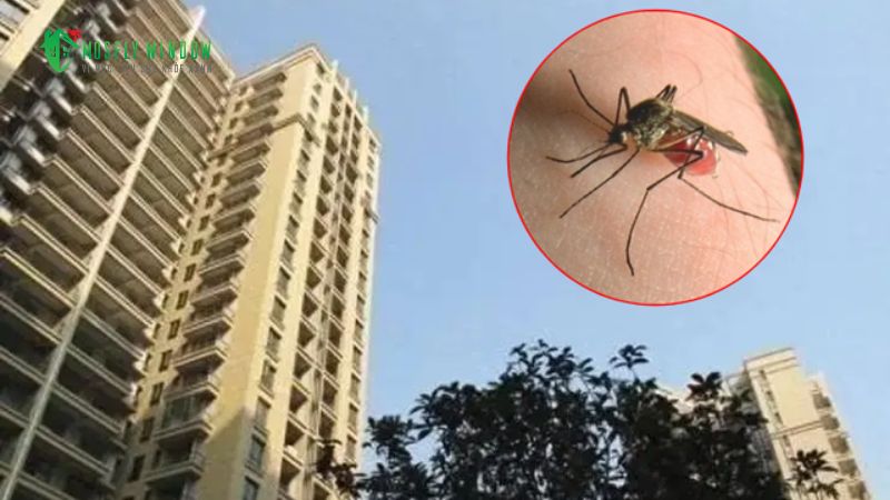 Giải đáp trực tiếp: Muỗi có thể bay cao tới tầng mấy?