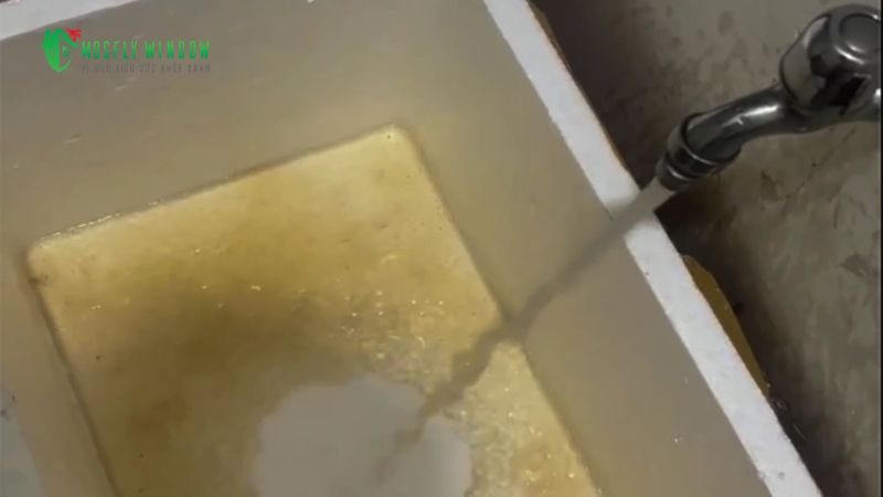 Triệt tiêu nguồn nước đọng – Môi trường sinh sản của muỗi