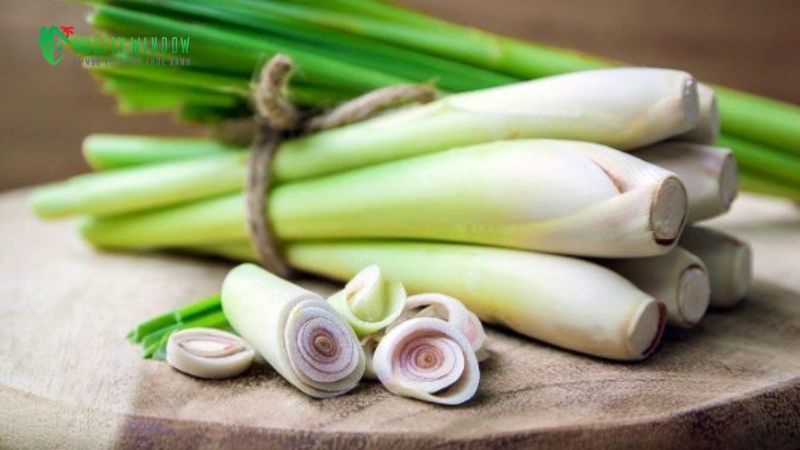 Tận dụng các mùi hương muỗi sợ nhất (sả, bạc hà, tràm trà)