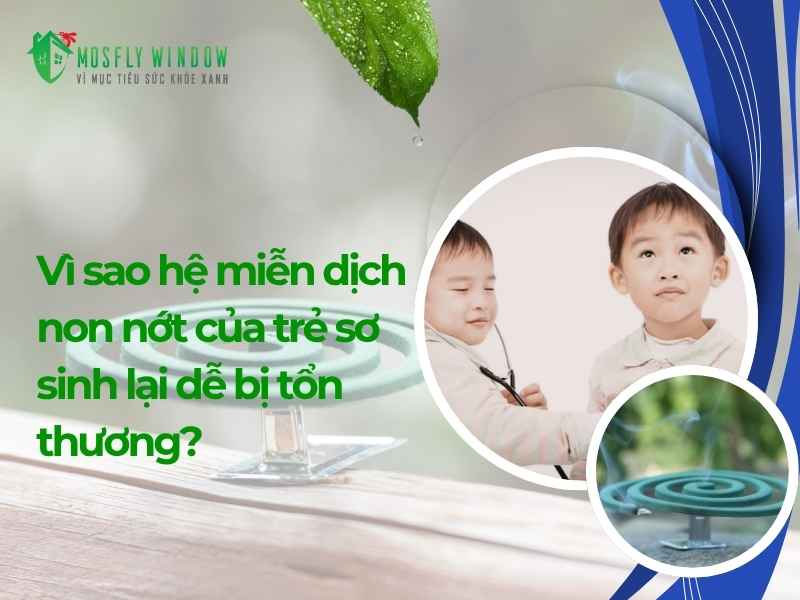 Vì sao hệ miễn dịch non nớt của trẻ sơ sinh lại dễ bị tổn thương?