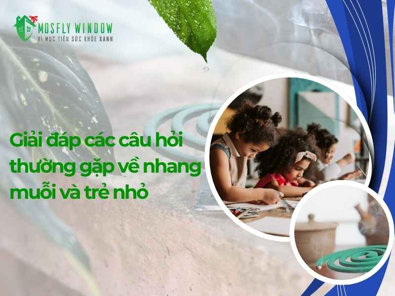 Lắp đặt cửa lưới chống muỗi ở cửa sổ và cửa ra vào